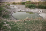 برخی افراد به جای فرافکنی، مشکل آب استان بوشهر را حل کنند