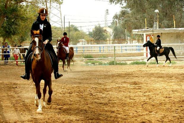 نفرات برتر مسابقات اسب اصیل عرب شناخته شدند