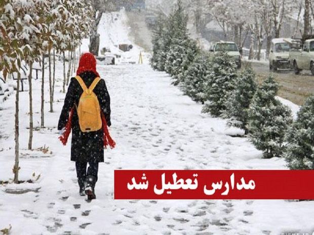 بارش برف مدارس ابتدایی قزوین را تعطیل کرد