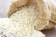 دولت برنج های بومی و با کیفیت استان را به قیمت توافقی خریداری می کند