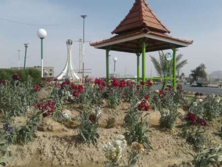 شهرداری خاش با کاشت 30 هزار گل و گیاه به استقبال نوروز رفت