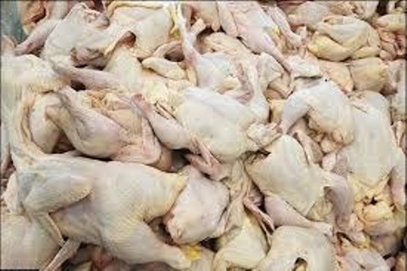 255 کیلو گرم گوشت مرغ غیر مجاز در قزوین کشف و ضبط شد