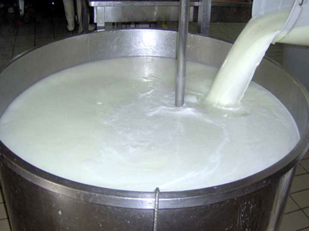 امسال  280 هزار تن شیرخام در گلستان تولید شد
