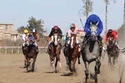 رقابت ۵۲ راس اسب در روز دوم هفته ششم کورس پاییزه گنبد