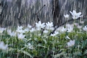 افزایش ۶۲ درصدی بارش ها در کرمان  سامانه بارشی جدید در راه است