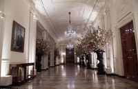 ماکرون در واشنگتن