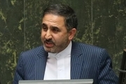 احمدی لاشکی: منتقدان توجه کنند که زنگنه برندی در مجموعه نفتی جهان است