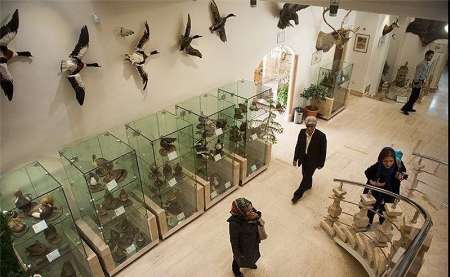 موزه تاریخ طبیعی و حیات وحش ایلام از اول فروردین پذیرای علاقمندان است