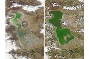  دریاچه ارومیه دوباره جان گرفت+ عکس
