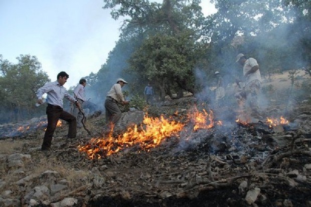 آتش سوزی جنگلهای چرام بعد 2 روز مهار شد