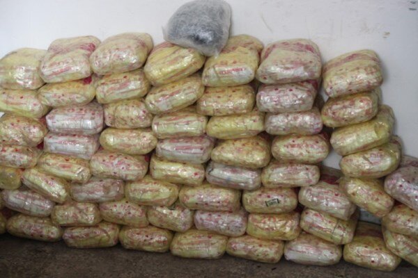 دستگیری قاچاقچی مسافر نما با بیش از ۱۷ کیلو تریاک در قزوین