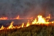 آتش‌سوزی در اراضی روستای کلگه باغملک  علت حادثه در دست بررسی است