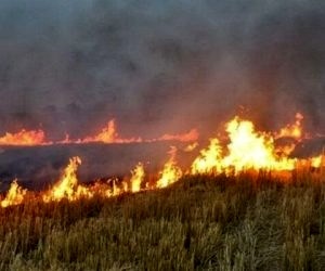 آتش‌سوزی در اراضی روستای کلگه باغملک  علت حادثه در دست بررسی است