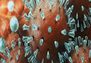 شناسایی 92 بیمار مبتلا به کرونا در سیرجان