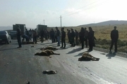 واژگونی کامیون در جاده سردشت دزفول ۴۰ گوسفند را به کشتن داد