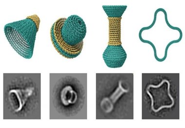 کوزه‌گری با DNA!
