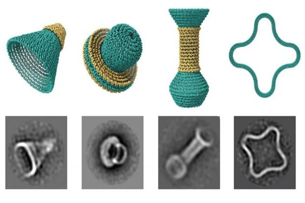 کوزه‌گری با DNA!
