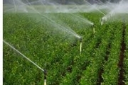 ۲۸۸ پروژه آبیاری در اراضی کشاورزی استان‌ تهران اجرا شد