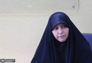 دستیار رئیس جمهور: پیگیری حقوق و آزادی‌های اجتماعی ساختارمند می‌شود/ لایحه برگزاری تجمعات نیاز مردم و حاکمیت است