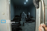 شناسایی شهدای دبستان میناب (47)