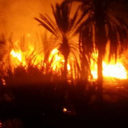 آتش سوزی نخلستان ناهوک پس از 8 ساعت مهار شد