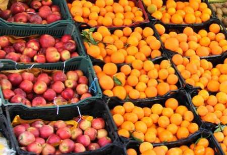 تامین کالاهای اساسی درنوروز توزیع 500تن سیب وپرتغال درکهگیلویه وبویراحمد