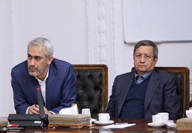 همتی در جلسه ای دولتی حاضر شد + عکس