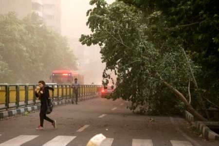 وزش باد شدید در پایتخت و ۵ استان دیگر   تهرانی‌ها مواظب طوفان باشند