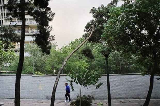 وزش باد شدید در جنوب استان تهران پیش بینی می شود
