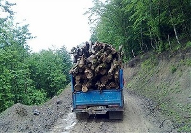 کشف 105 اصله چوب آلات قاچاق جنگلی در اردبیل