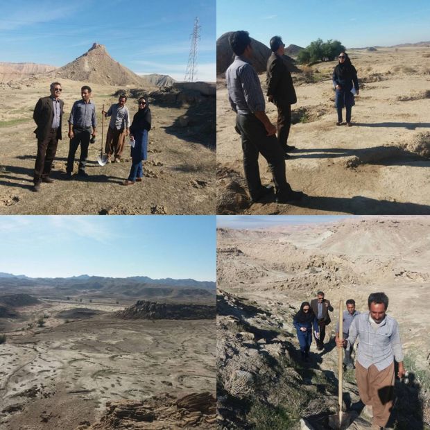 معاون فنی منابع طبیعی بوشهر: طرح های مرتعداری در دیلم حمایت می شود