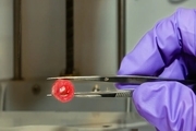 چاپ زیستی رگ‌های خونی برای کمک به سلامت فضانوردان
