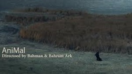 فیلم کوتاه «حیوان» به بخش مسابقه جشنواره سارایوو راه یافت