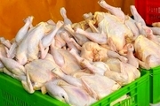 جدیدترین پیش بینی در مورد قیمت مرغ/ مدیرعامل اتحادیه مرغداران گوشتی: قیمت مرغ 80 هزار تومان نخواهد شد؛ احتمالا حدود 65 هزار تومان!