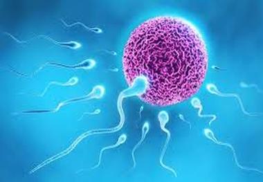 قدرت باروری از چه سنی کاهش پیدا می‌کند؟

