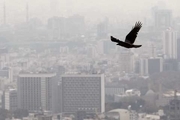 تمام فرضیه‌ها در مورد بوی بد در تهران