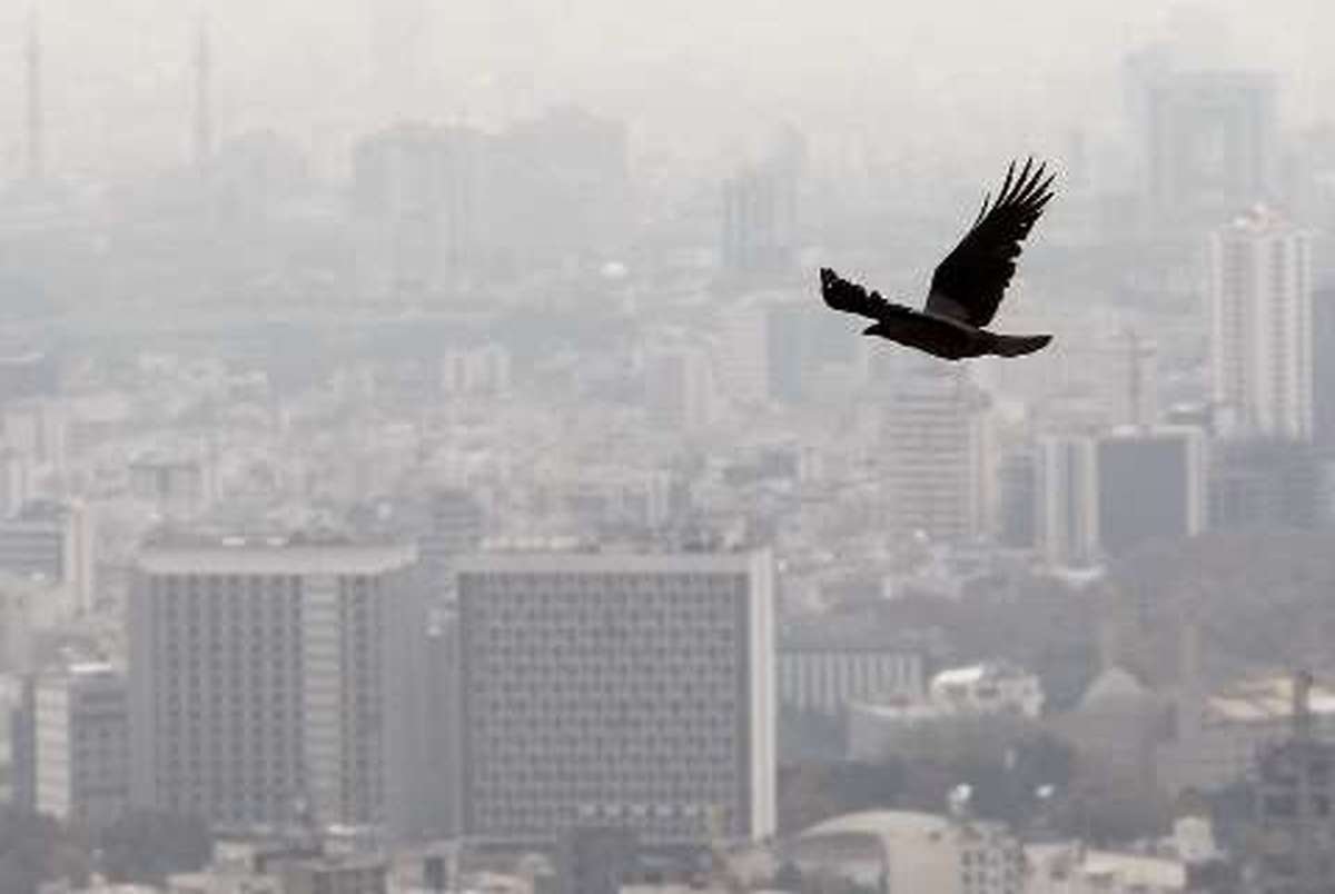شورای شهر تهران کاهش آلودگی هوا را از شهرداری مطالبه کند