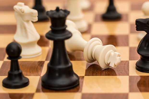 شش مدال، حاصل کار شطرنج بازان خراسانی در مسابقات کشوری