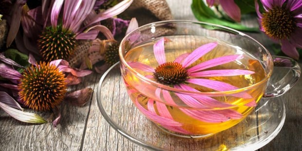 ترکیبات جادویی گیاهان برای سلامت بدن
