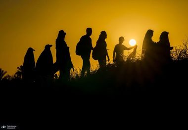 تا امروز چند میلیون ایرانی به راهپیمایی اربعین 1404 رفته اند؟