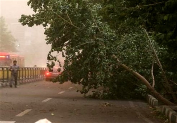 احتمال قطع درختان و سقوط اشیا بر اثر وزش بادهای شدید در قزوین