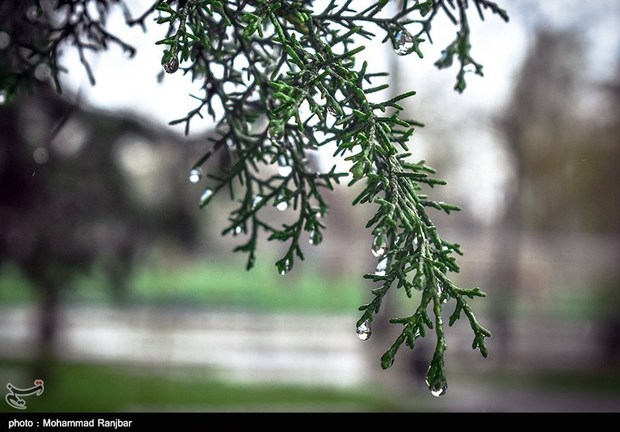 بارندگی در آذربایجان غربی ۳۴ درصد کاهش یافت