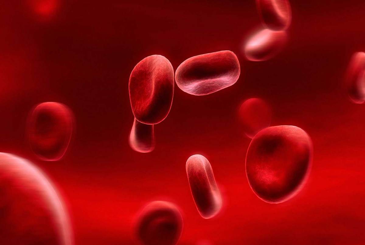 خطرات کم خونی برای کودکان؟