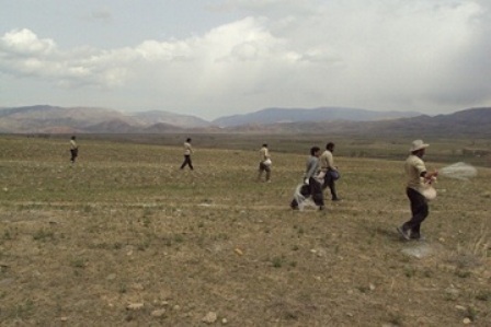 عملیات بذرپاشی در 1110 هکتار از مراتع کردستان انجام شد