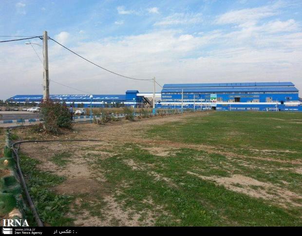 نخستین محموله شکر کارخانه قند شمال خوزستان وارد بازار شد