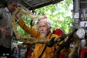 این پیرمرد ۸۰ سال موهایش را کوتاه نکرده است!+ تصاویر
