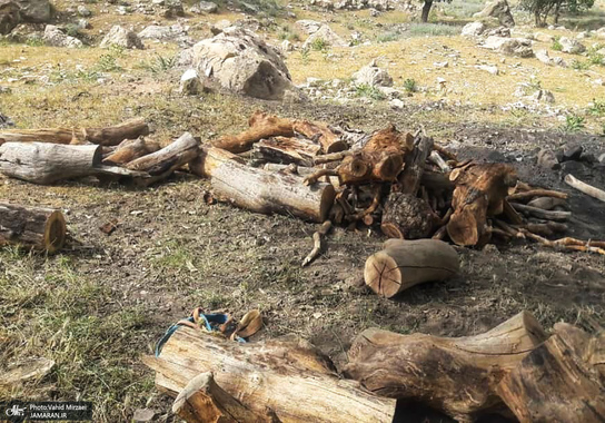 گشت با جنگل بانان برای مبارزه با قاچاق چوب و زغال