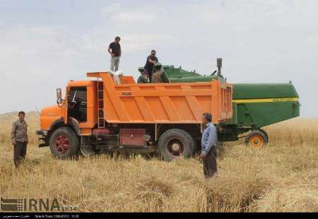 تولید گندم با وجود کاهش 200میلمتری باران درکهگیلویه وبویراحمدافزایش یافت