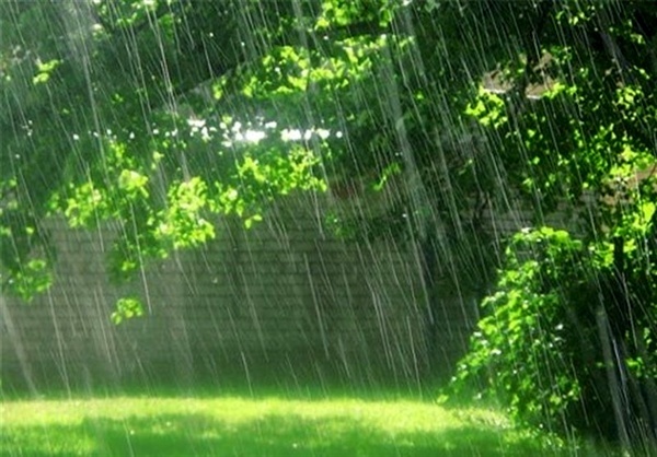 آغاز روز طبیعت با بارش باران
