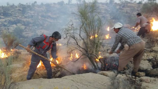 آتش سوزی در اراضی شمالی شهرک مهرگان محمدیه مهار شد